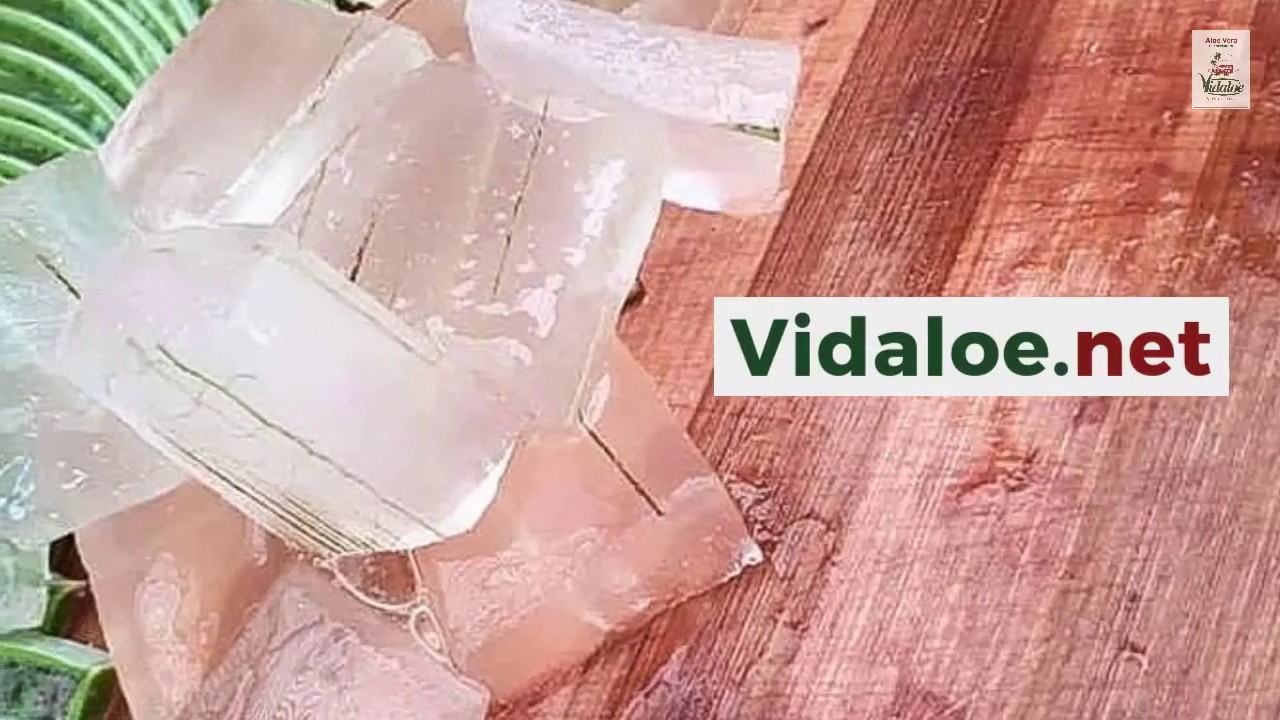 Video de empresa de Aloe vera Vidaloe Fuerteventura | Agualoe