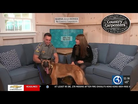 YouTube video thumbnail: Amazing K9 Duos: Connecticut State Police K9 Nala