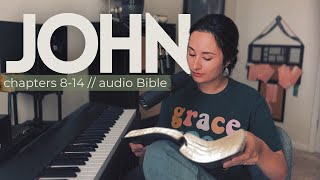 THE GOSPEL OF JOHN // chapters 8-14 | audio Bible