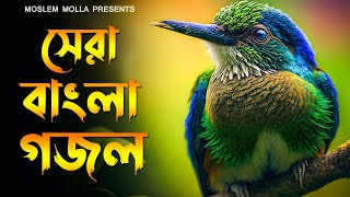 সেরা বাংলা গজল | New Gojol Bengali Gojol | নতুন নতুন ৫টি গজল | Gazal Bangla Gojol,islamic gojol new