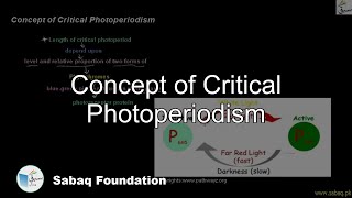 Concept of Critical Photoperiodism