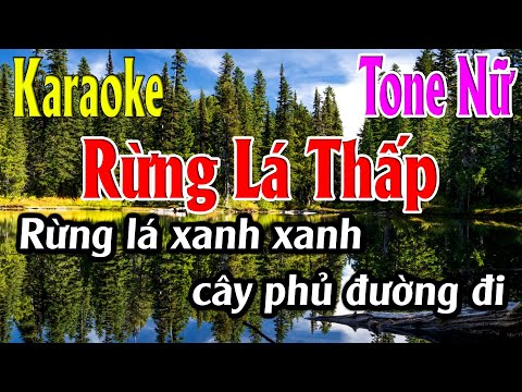 Rừng Lá Thấp Karaoke Tone Nữ Karaoke Lâm Organ – Beat Mới