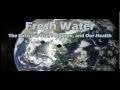 Water Consumption and Environmental Impact