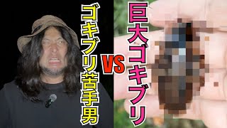 【閲覧注意】ゴキブリ恐怖症の男が日本最大のゴキブリ捕獲に挑む！勇気と決意が真夏の奇跡を起こす！！