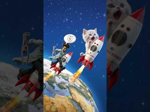 Kitten's Fear of the Dentist #funny #short