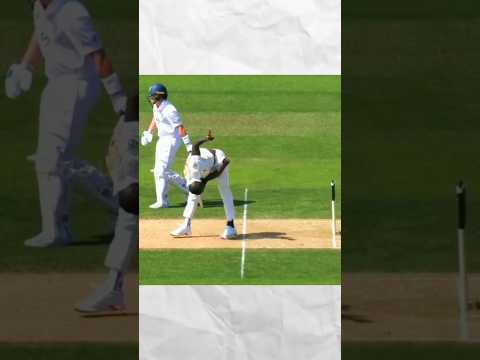 Most Funny Moments In Cricket