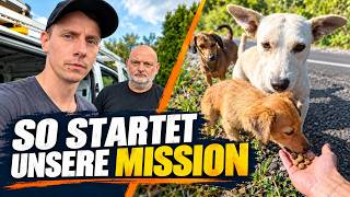 Panne, Absage, Straßenhunde: So beginnt unsere Rumänien-Mission