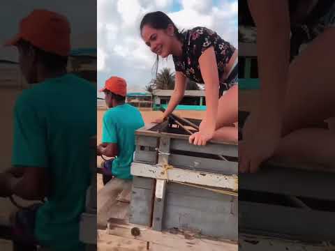 GOSTA DE MONTAR A CABALO