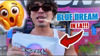 My FIRST TIME TRYING BLUE DREAM IN LA!!!