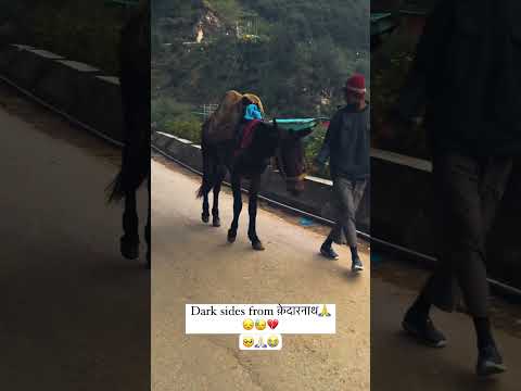 ???Aj ki date me 90% log sirf photos or videos ke lie jaate hai  #kedarnath #kedarnath2023
