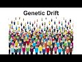 Founder and Bottleneck Effects in Genetics