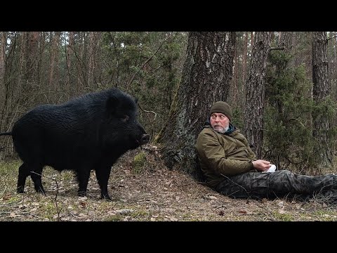 Я встретил его в лесу и всё пошло не по плану | Обустройство лесного хутора | бушкрафт