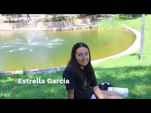 Students react to UNM Duck Pond renovation