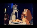 Understanding the Video Transcript