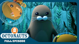 @Octonauts - 🐶 The Kelp Forest Mystery 🔍 | Season 4 | Full Episode | Cartoons for Kids