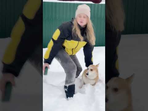 О нет! Снег!