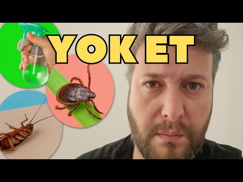 Ev Yapımı Haşere İlacı, Kene ve Böcek Kovucu Doğal Tarifler + Güçlü Oto Süpürge Testi!