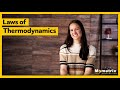 Thermodynamics Principles and Laws