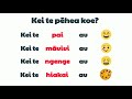 Māori Language Basics