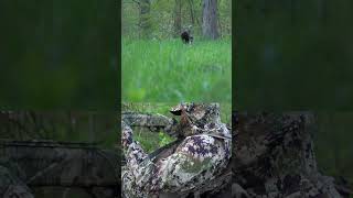 Nothing like getting one right off the roost! #TurkeyHunting #fyp #HuntingLand #Winchester