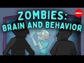 Understanding Emotions and Brain Functions