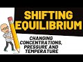 Chemical Equilibrium Concepts and Effects