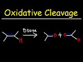 Acetic Acid Production Reactions