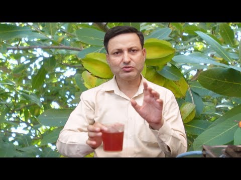अर्जुन के छाल ने किया सबसे बड़ा कमाल | cholesterol, high BP, Heart Disease, diabetes, skin remedy.