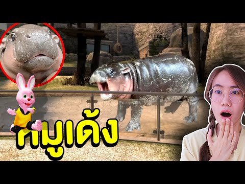 บันนี่มาหา หมูเด้ง เจ้าฮิปโปน้อย ที่สวนสัตว์ Moodeng baby hippo | Mind&Nat