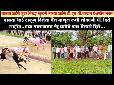 नागझरी करांच्या बाळ्या भाई बैलाचा जीवन प्रवास | टाकून दिलेल्या बैलाची खरी कहाणी | बैलगाडा शर्यत