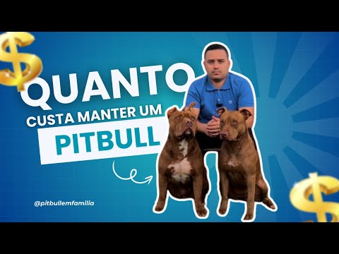 QUANTO CUSTA CRIAR MEUS 2 PITBULLS ! Assista e descubra!!! #cachorro #youtube #pitbull