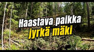Ponsse Buffalo Haastava maasto