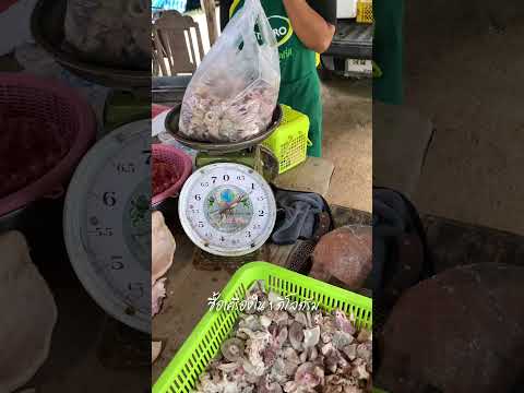 ใส้หมูของโปรดต้มแซ๊บซดน้ำให้หรอยรัดดวงshorts ก้อยพัทลุง ใส้หมูของโปรดต้มแซ๊บซดน้ำให้หรอยรัดดวงshorts