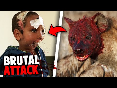 One of the WORST Hyena Attacks of All Time!