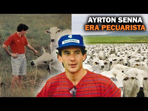 COMO ESTÁ HOJE EM DIA A FAZENDA DE GADO DE AYRTON SENNA