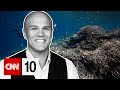 Coral Bleaching and General Knowledge