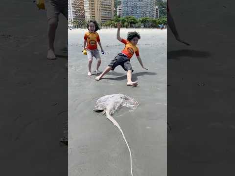 Levi tu vai ficar feliz! #praia #levi #davi #férias #humor