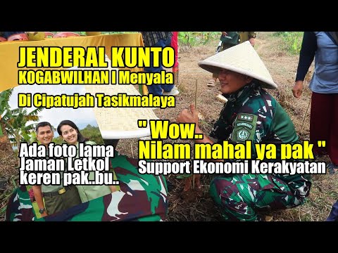 JENDERAL KUNTO DI CIPATUJAH TASIKMALAYA TANAM NILAM  " HARGANYA MAHAL YA PAK " | EKONOMI KERAKYATAN