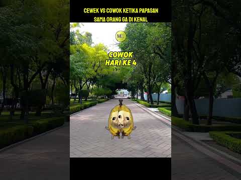 Alasan cowok banyak teman🗿 #meme #kucing #meow #youtubeshorts
