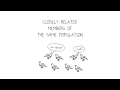 Genetic Diversity and Its Importance