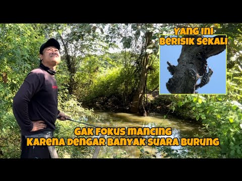 Ketika dua hobi jadi satu, betapa senang sekali hari ini, dapat banyak point 😁