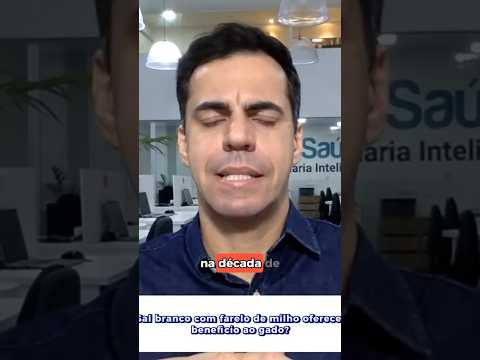 Sal branco com farelo de milho faz bem pro gado?