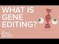 Gene Editing and Its Implications