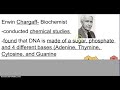 DNA Structure and Function Concepts