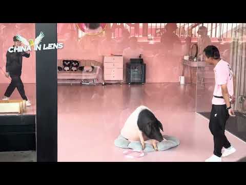 Panda or Pig? Raising pigs has never been this cute!