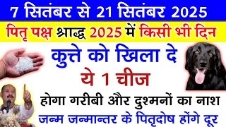 पितृ पक्ष 2025 में कुत्ते को चुपचाप खिला दे ये 1 चीज गरीबी और पितृदोष होंगे खत्म - Pradeep ji mishra