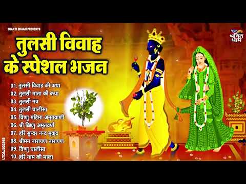 तुलसी माता के टॉप भजन !! Nonstop Tulsi Mata Bhajan !! भजन Tulsi Vivah Song 2024 !! Tulsi Mata Bhajan