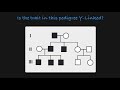 Understanding Y-Linked Traits and Pedigrees
