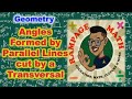 Angles Formed by Parallel Lines and Transversals