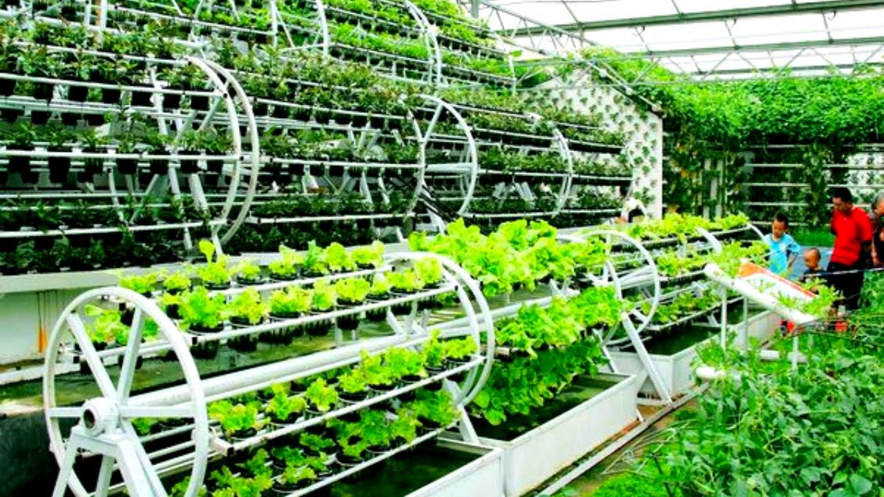 China Just SHOCKED American Scientists With This Modern Farming Technique?